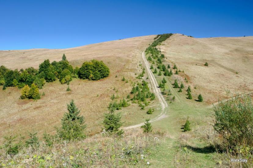 Завийка з panoramio.com - Завийка