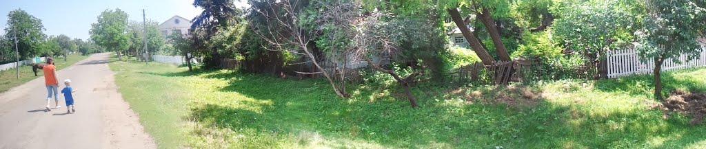 Червона Гребля з panoramio.com - Попова Гребля