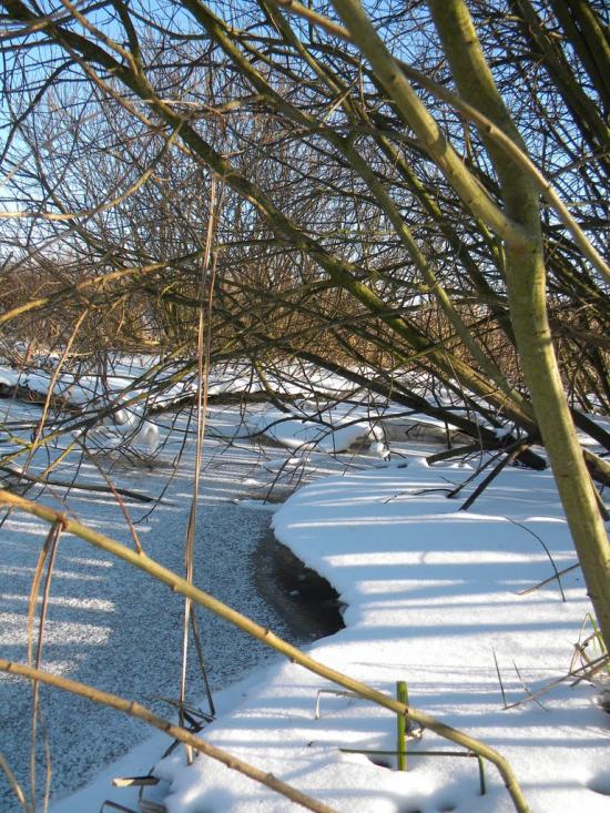 Попово з panoramio.com - Попово