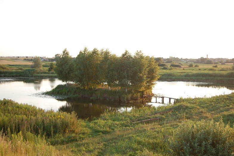 Рогізне з panoramio.com - Рогозное