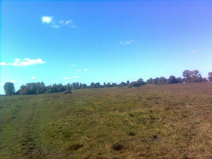 Серкізів з panoramio.com - Серкізів