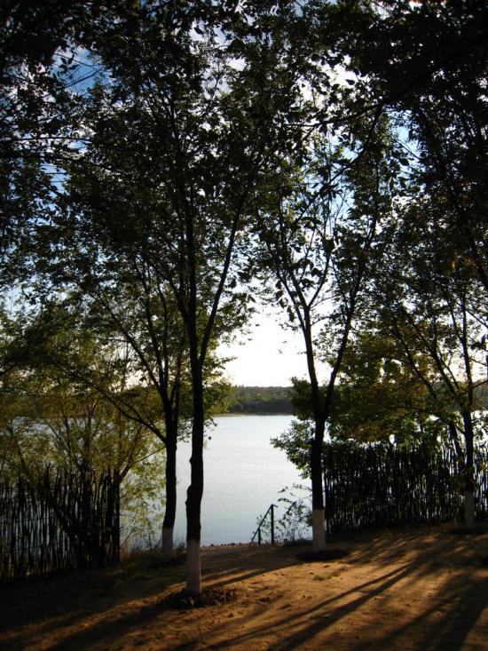 Лутугине з panoramio.com - Лутугино