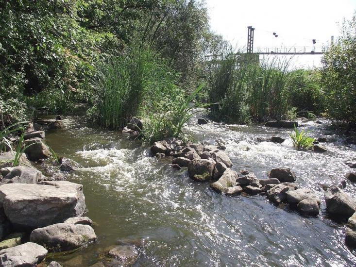 Городище-Пустоварівське з panoramio.com - Городище-Пустоваровское