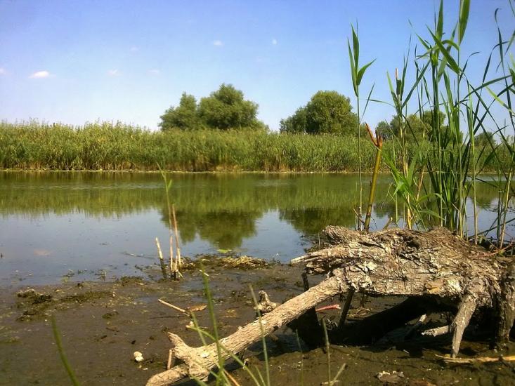 Кринки з panoramio.com - Крынки