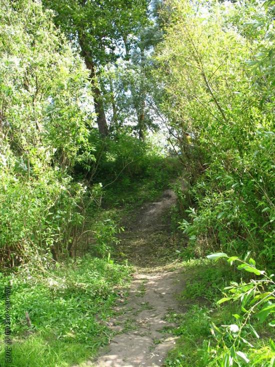 Остер з panoramio.com - Oster
