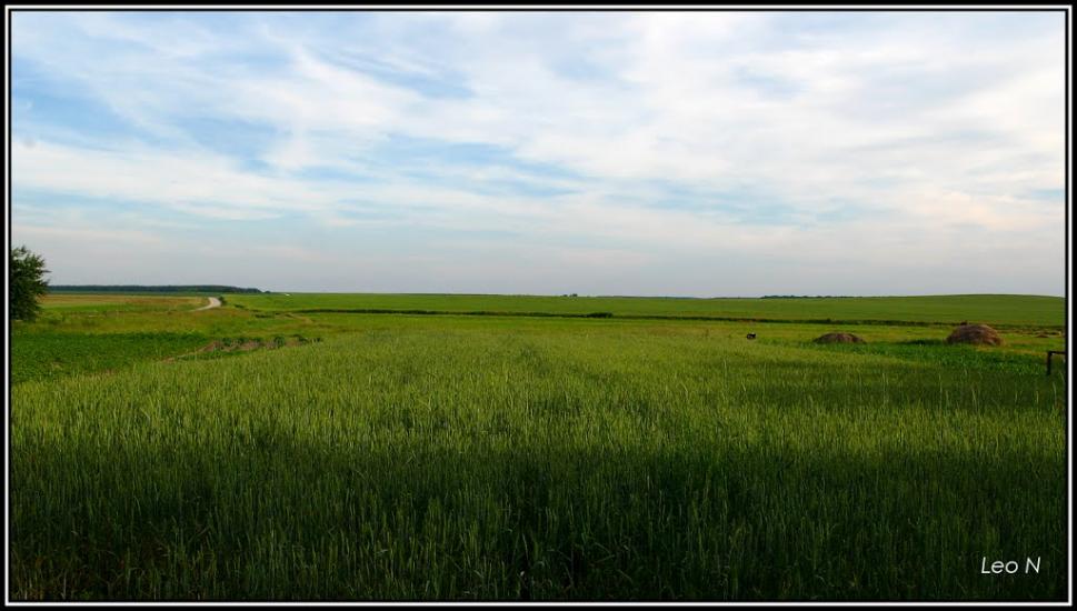 Тагачин з panoramio.com - Тагачин