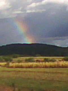 Лецовиця - Лецовиця