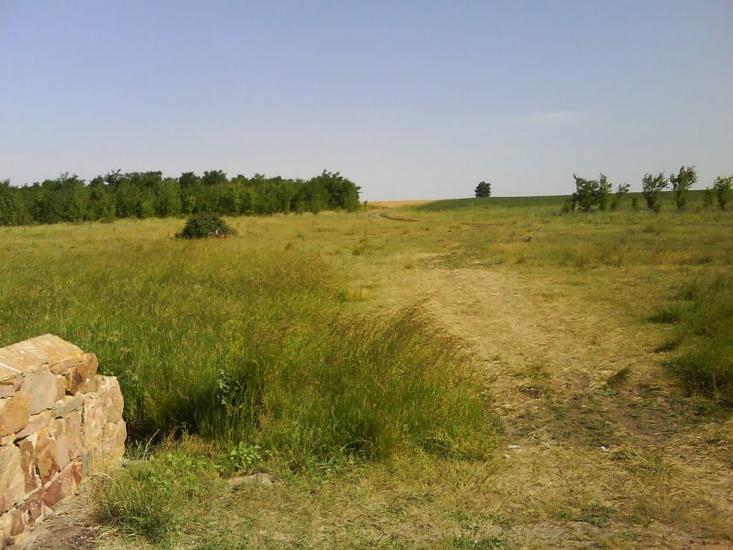 Просторе з panoramio.com - Просторе