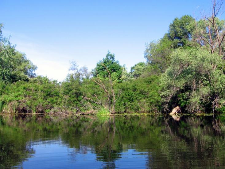 Чикалівка з panoramio.com - Чикаловка