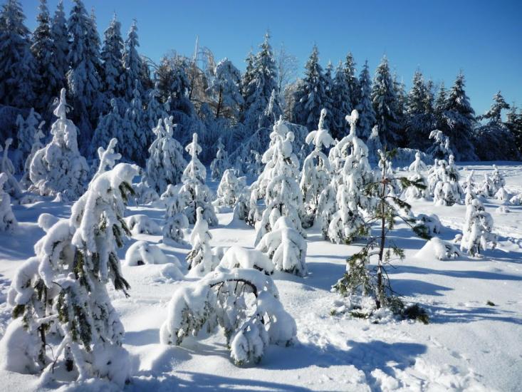 Мігово з panoramio.com - Мигово