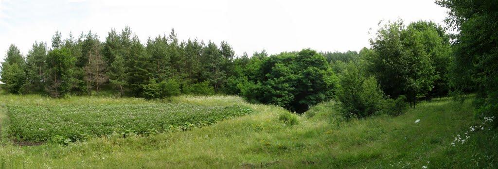 Малий Вистороп з panoramio.com - Малый Выстороп