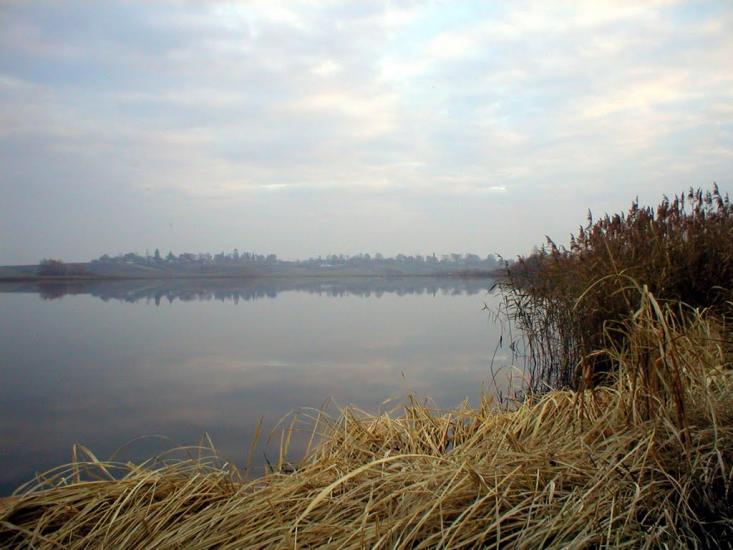 Рогізне з panoramio.com - Рогозное