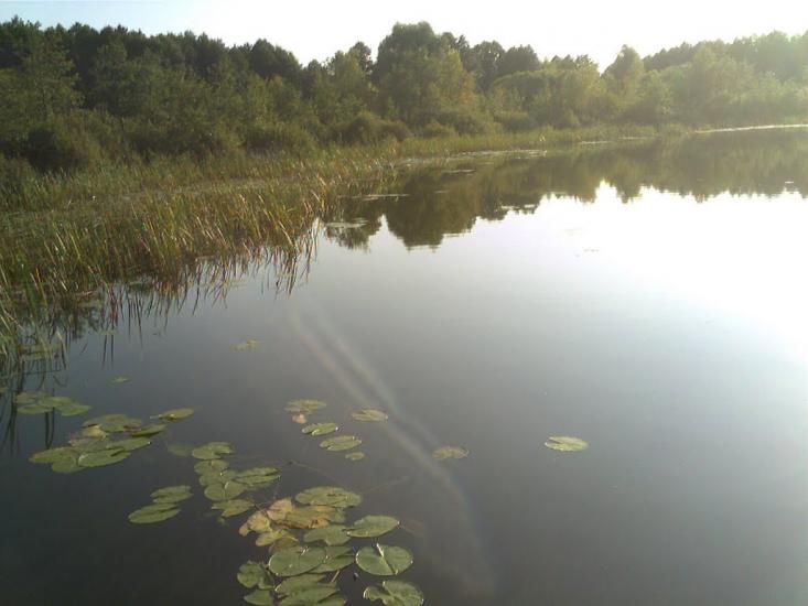 Турійськ з panoramio.com - Турийск