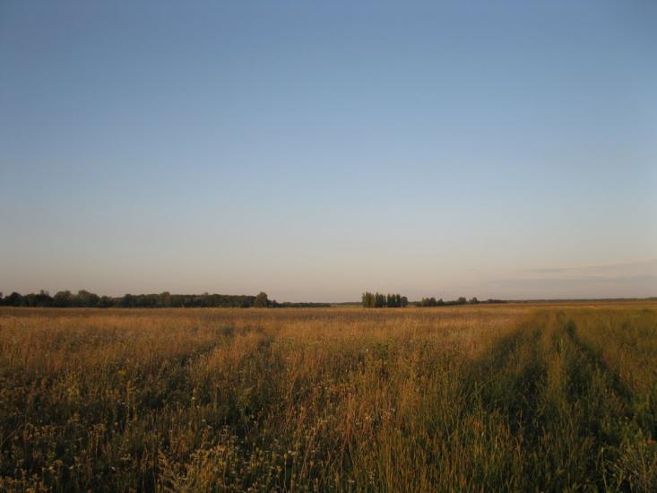 Гужівка з panoramio.com - Гужовка