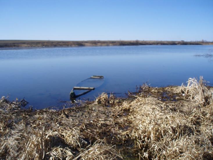 Рогізне з panoramio.com - Рогозное
