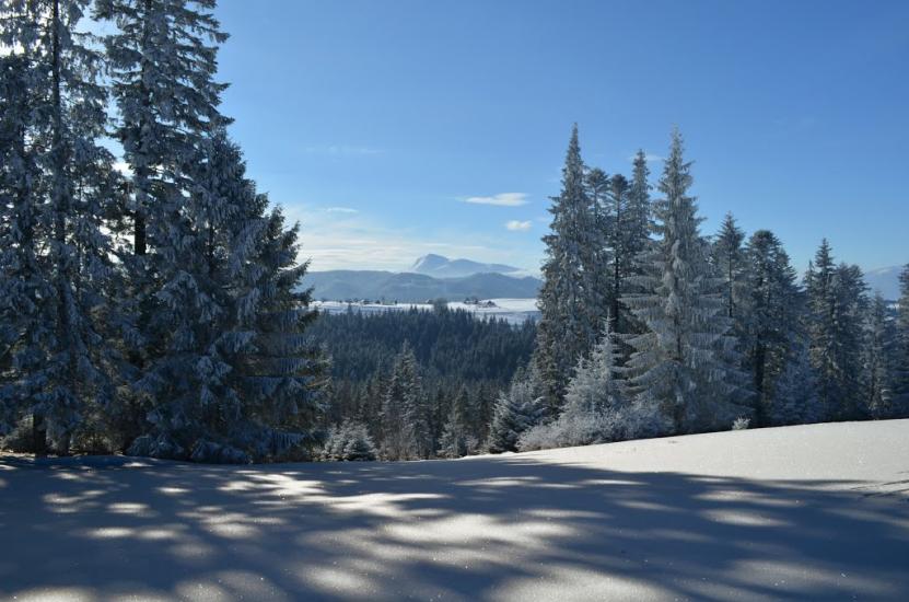 Вороненко з panoramio.com - Вороненко