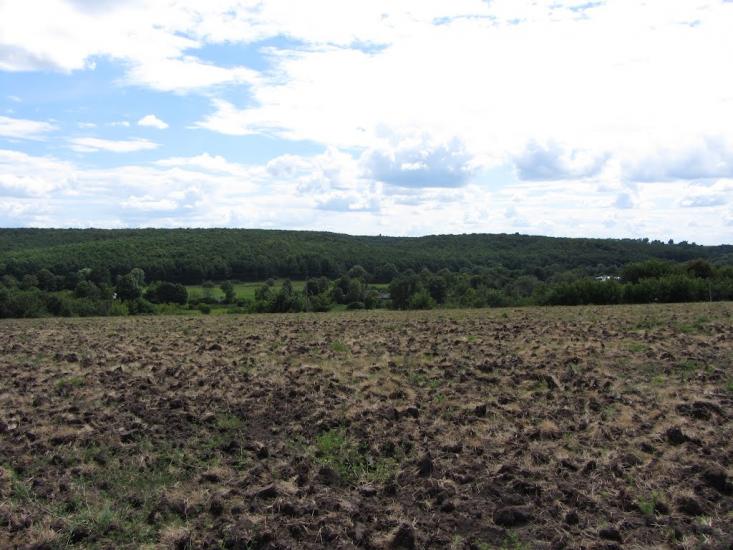 Попівка з panoramio.com - Попівка