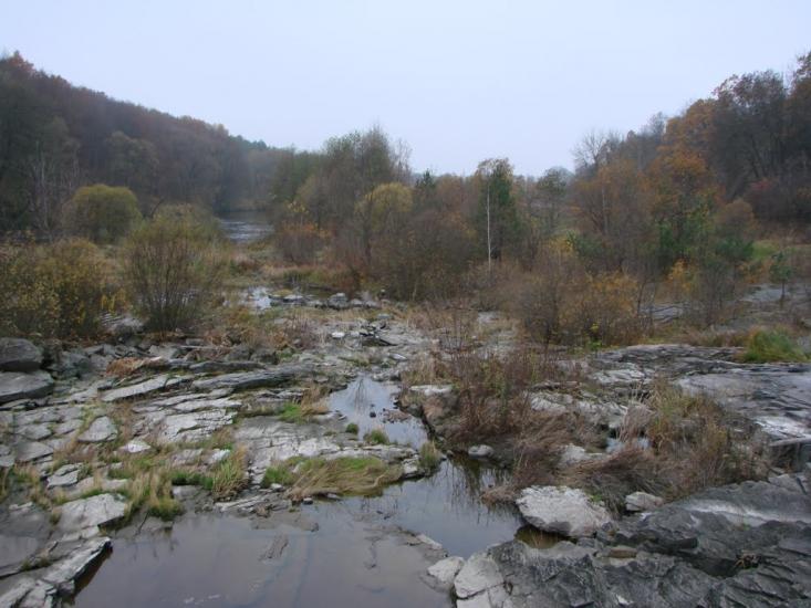 Вільха з panoramio.com - Ольха