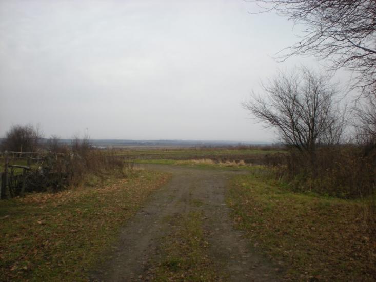 Ковиничі з panoramio.com - Ковиничі