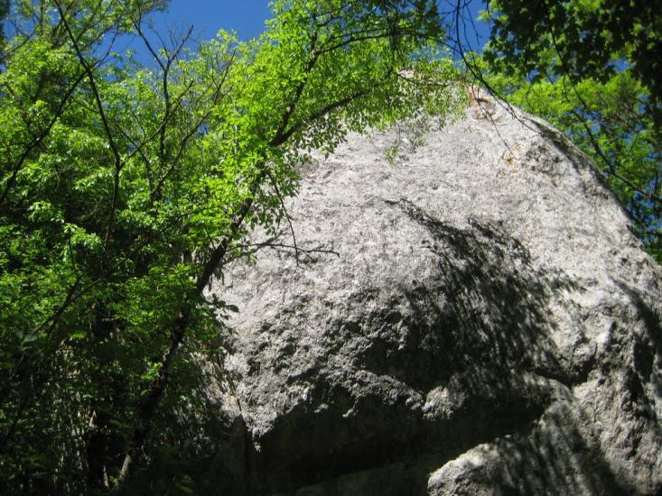 Поляна з panoramio.com - Поляна
