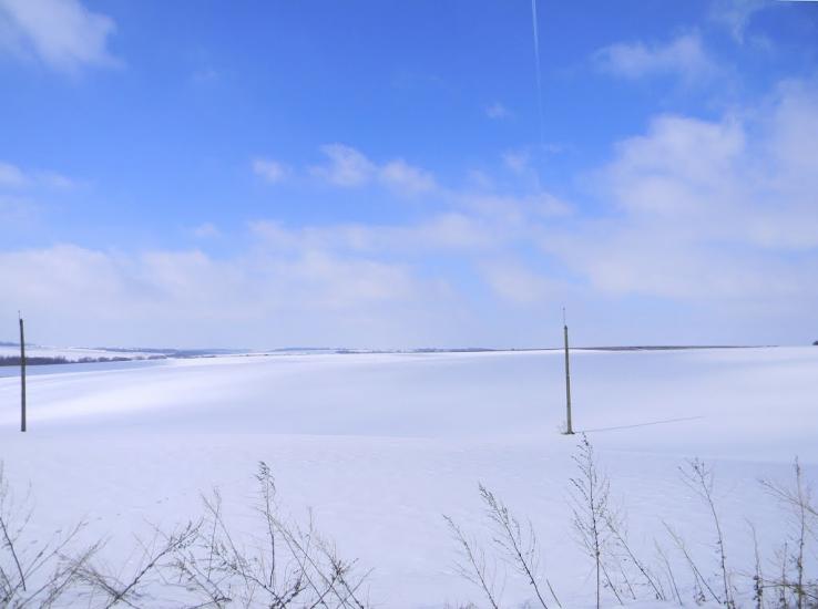Скаржинці з panoramio.com - Скаржинці