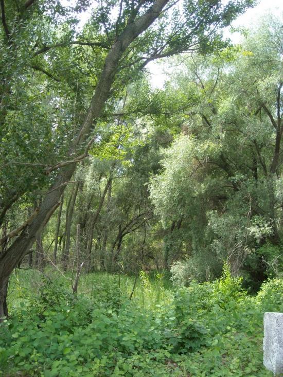 Святилівка з panoramio.com - Святиловка