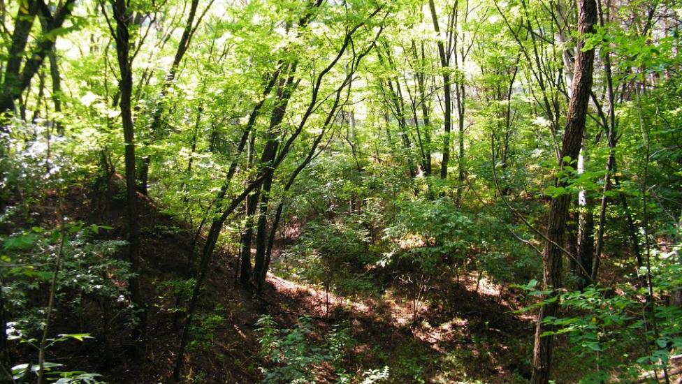 Дзержинське з panoramio.com - Дзержинское