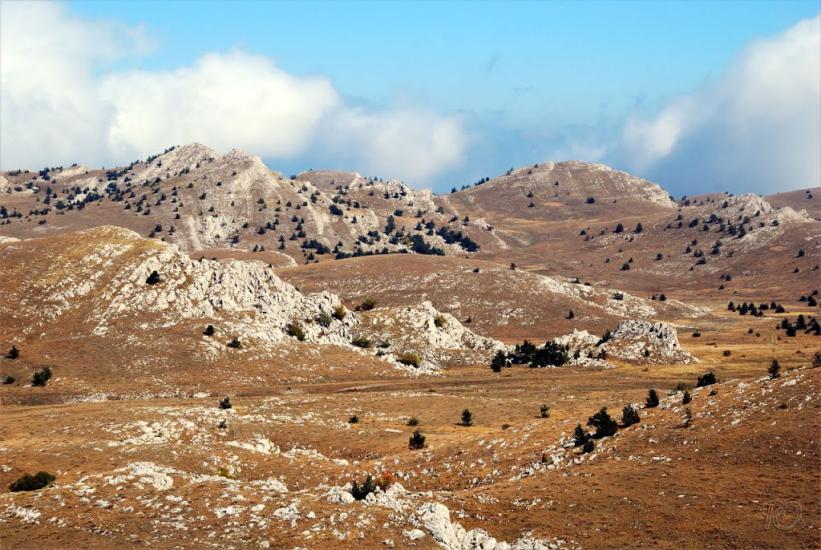 Запрудне з panoramio.com - Запрудне