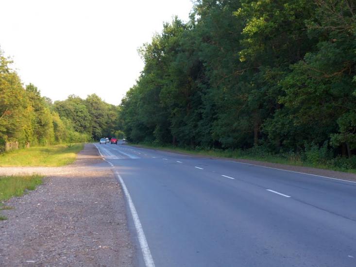 Надорожна з panoramio.com - Надорожна