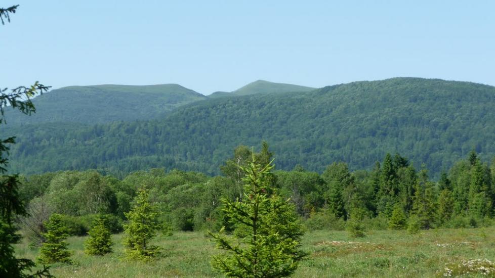 Шандровець з panoramio.com - Шандровец