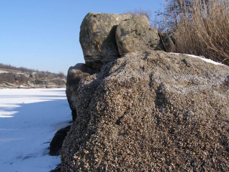 Пелагіївка з panoramio.com - Pelagiyivka