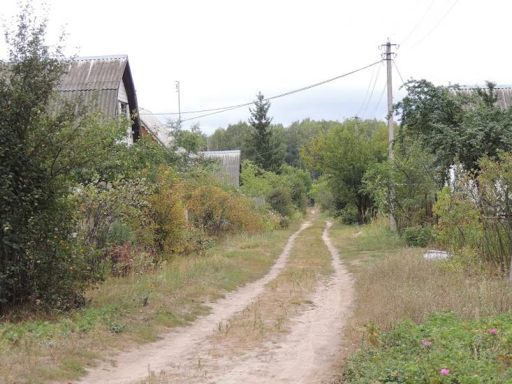 Деревини з panoramio.com - Деревины