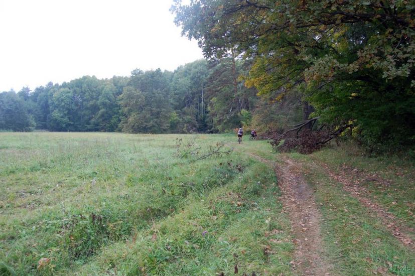 Серебрянка з panoramio.com - Serebryanka