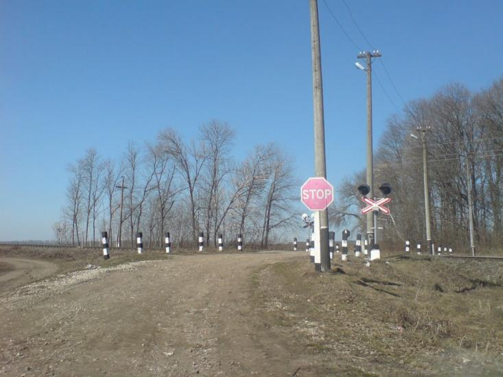 Нестерівці з panoramio.com - Нестеровцы