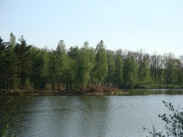 Михайленки з panoramio.com - Михайленки