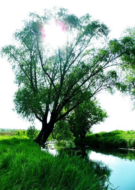 Біле з panoramio.com - Белое