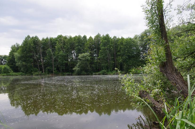 Блиставиця з panoramio.com - Блиставиця