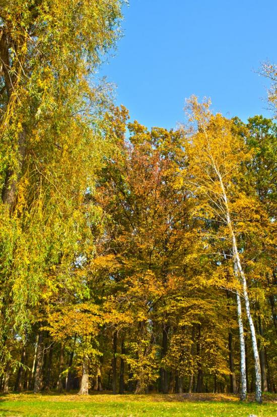 Хотімля з panoramio.com - Khotimlya