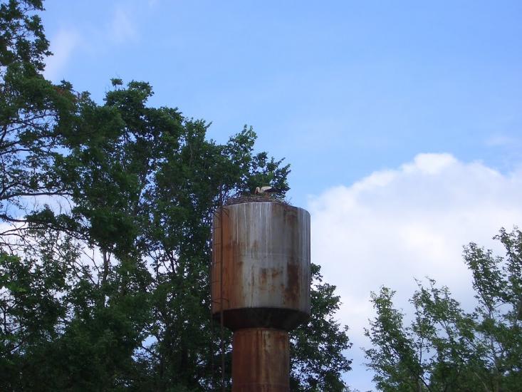 Алтинівка з panoramio.com - Алтинівка