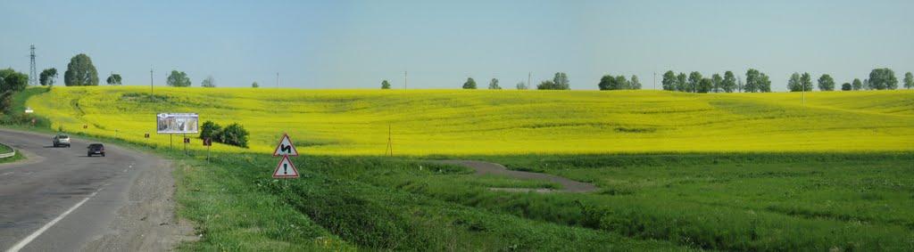 Великі Грибовичі з panoramio.com - Великі Грибовичі