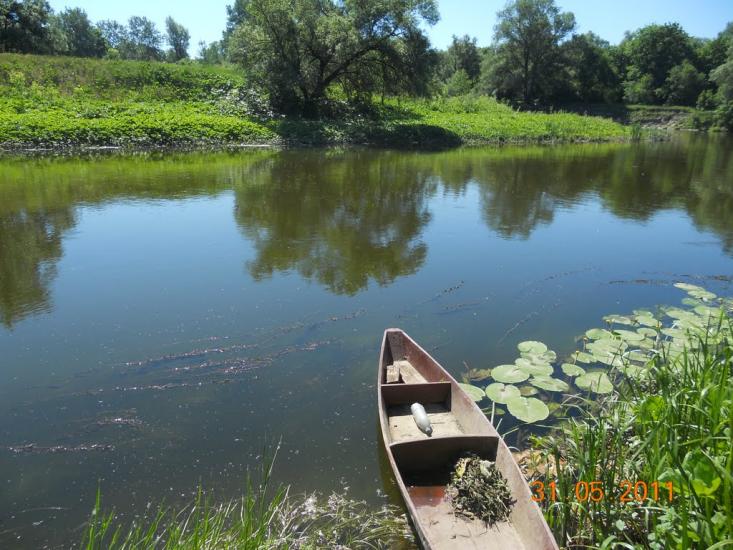 Перевіз з panoramio.com - Перевоз