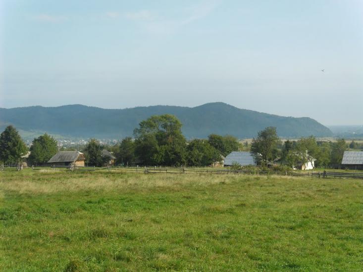 Пшеничники з panoramio.com - Пшеничники