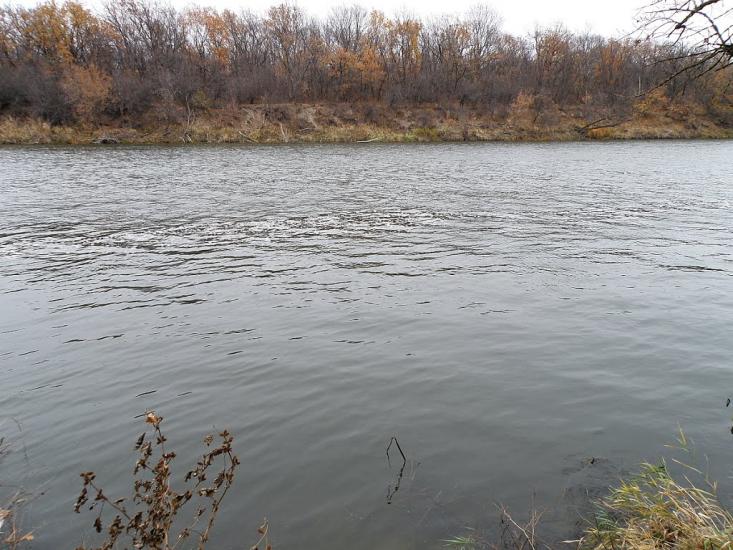 Кружилівка з panoramio.com - Kruzhylivka