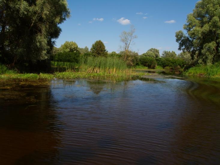 Хрещатик з panoramio.com - Хрещатик