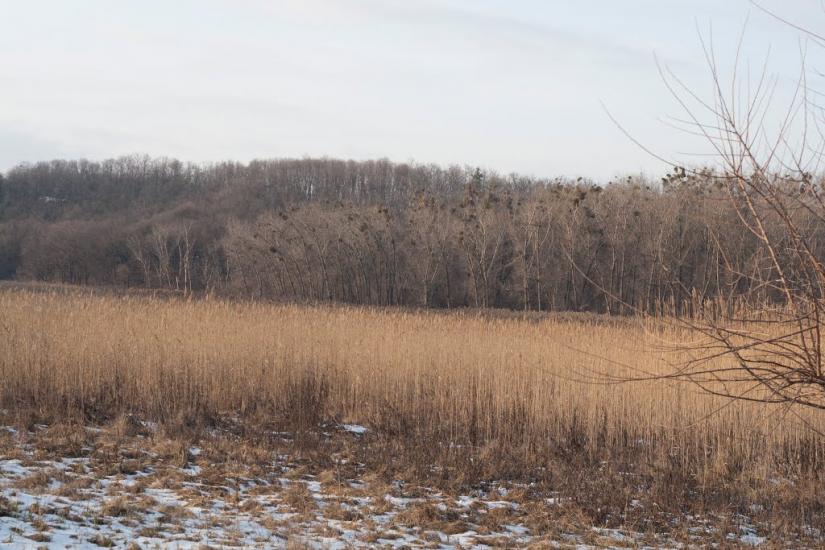 Коврай з panoramio.com - Коврай