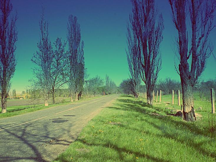 Садове з panoramio.com - Садовое