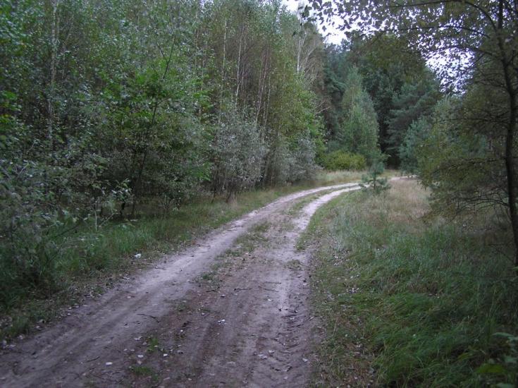 Струмок з panoramio.com - Струмок