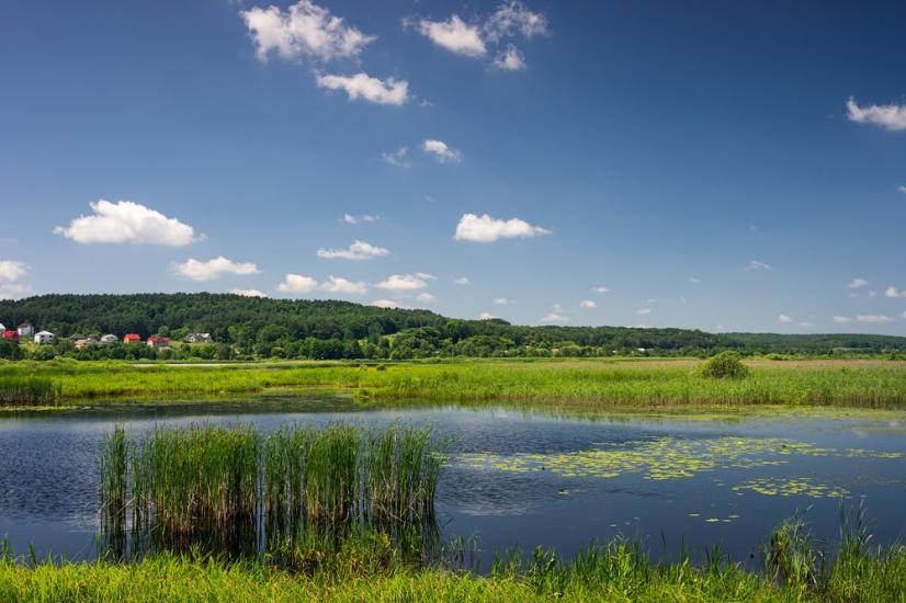 Івано-Франкове з panoramio.com - Ivano-Frankove