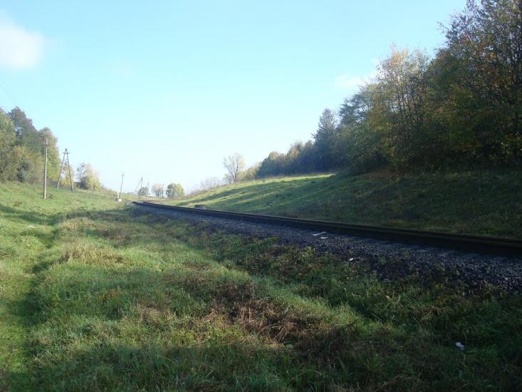 Велика Калинівка з panoramio.com - Велика Калинівка