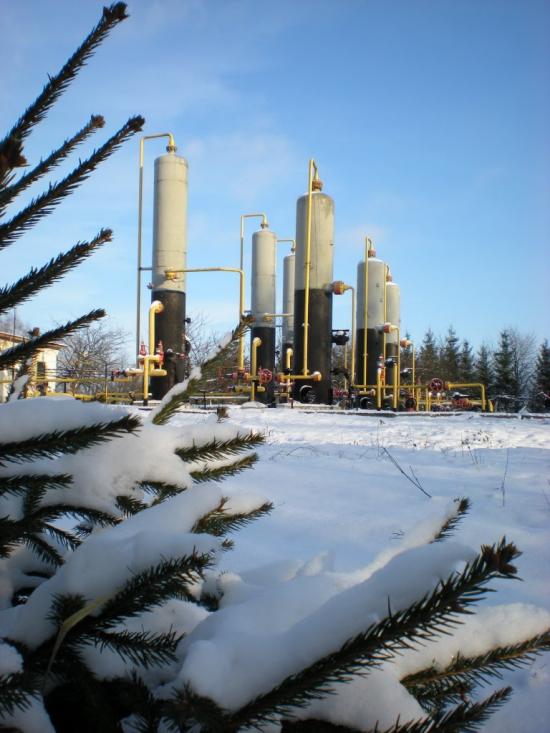 Ковиничі з panoramio.com - Ковиничи